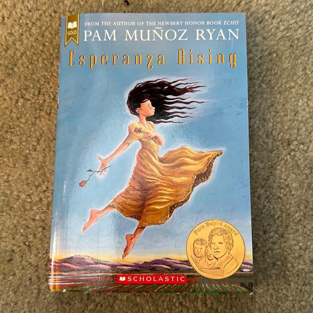 Fiction book
